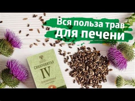 Синхровитал 4 Хронобиологическая защита печени Siberian Wellness ...
