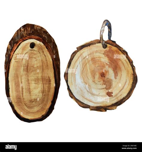 Watercolor Wood Slices Clipart Set Circle Shaped Wood Slice With Place