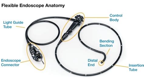 avoiding  broken endoscope blues