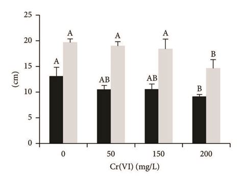 Cr Vi Effect On Lettuce Shoot Black Bars And Root Grey Bars A