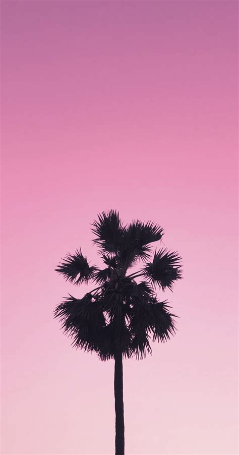 3840x2160px 4k Free Download Pink Aesthetics Pink Vibes Hd Phone Wallpaper Pxfuel