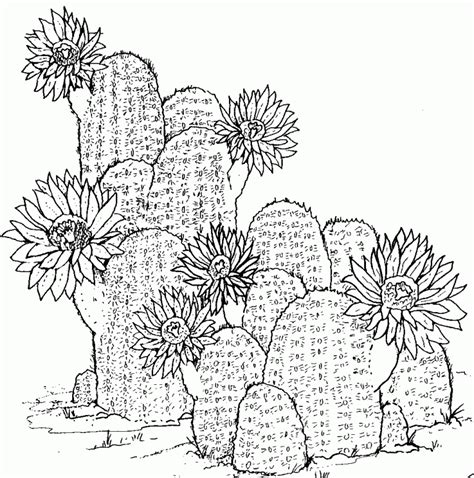 Cactus in Desert Coloring Page - Free Printable Coloring Pages for Kids