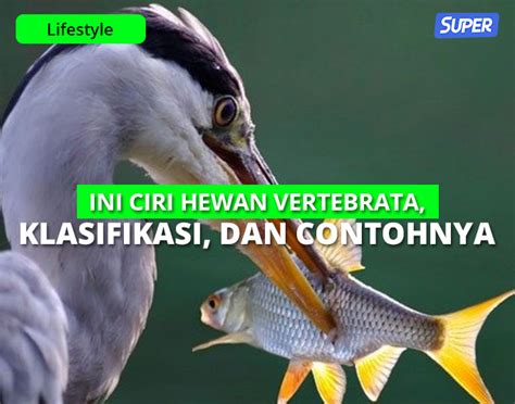 Hewan Vertebrata Pengertian Ciri Klasifikasi Dan Contohnya Nbkomputer