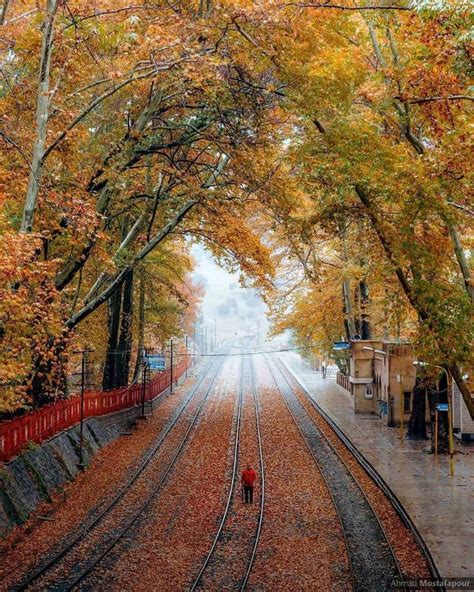 A Person Walking Down The Middle Of Train Tracks Under Trees With