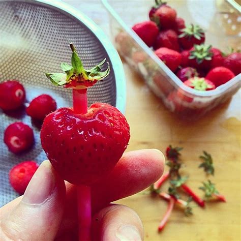 Hulling Strawberries With A Straw Genius Phillipschofiel Flickr