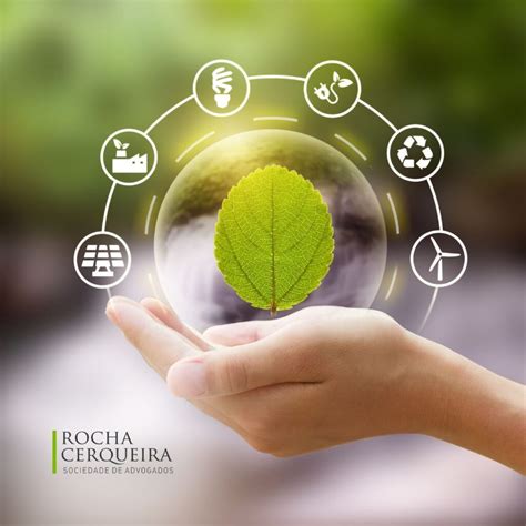 Sustentabilidade Tipos E Import Ncia Para As Empresas Em