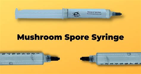 A Comprehensive Guide To Using And Making Mushroom Spore Syringes