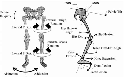 Kinematics Angles Definition Download Scientific Diagram