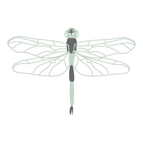 Premium Vector Green Dragonfly In Doodle Style Cute Insects Hand