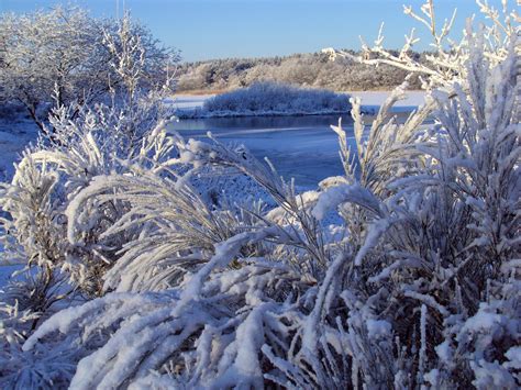 Winter Nature Landscape Free Photo On Pixabay Pixabay