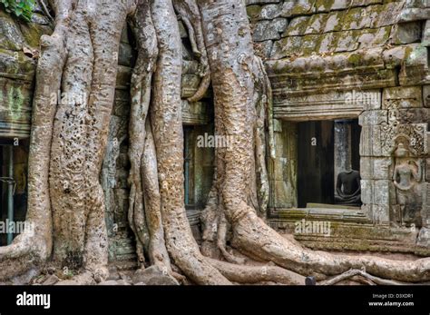 Angkor Wat Ruins Stock Photo Alamy