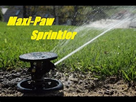 Rain Bird A Maxi Paw Pop Up Impact Rotor Review Test Youtube