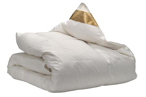 Ten Cate Premium Donzen Lits Jumeaux 4 Seizoenen Dekbed 240x220 Cm