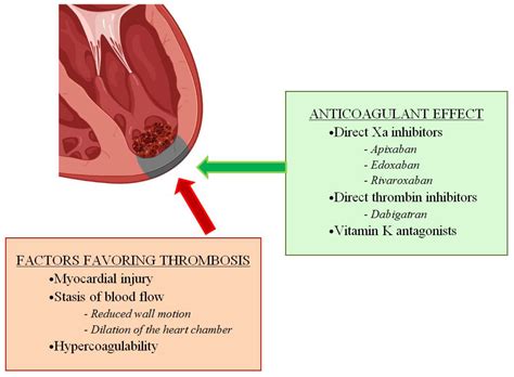 Jpm Free Full Text Direct Oral Anticoagulants For Stroke And Systemic Embolism Prevention In