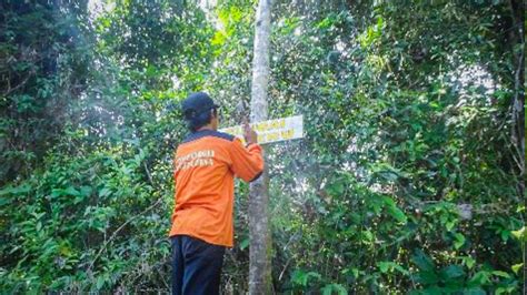 Hutan Tropis Dijaga Dirusak Dan Cara Agar Tetap Lestari Prcf Indonesia