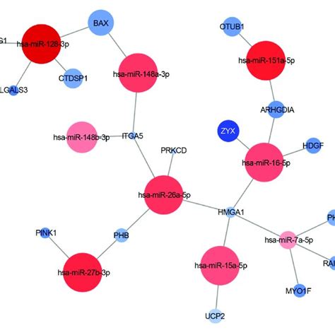 Mirna Target Interaction Network An Example Of Experimentally