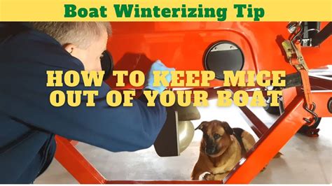 How To Keep Mice Out Of Your Boat Youtube