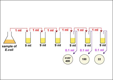 Biol 230 Lab Manual Plate Count Dilution Procedure