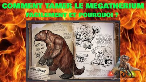 Comment Tamer Le Megatherium Facilement Et Pourquoi Youtube