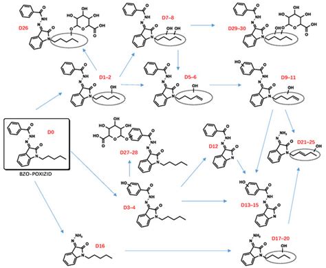 Metabolites Free Full Text Study Of The Metabolic Profiles Of