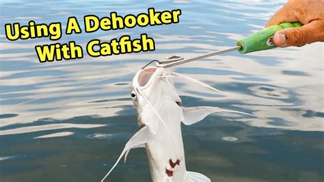 How To Unhook A Catfish With A Dehooker Quick Easy Way Without