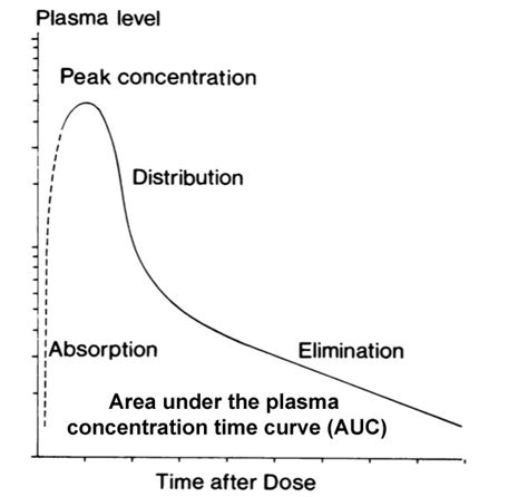 Filedrugs Area Under Plasma Concentration Time Curve Embryology