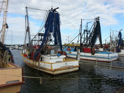 Trawlers For Sale Prawn Trawlers For Sale Queensland