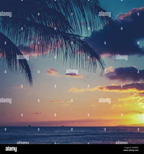 Sunset hawaii palm tree hi-res stock photography and images - Alamy