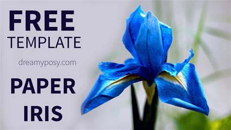 Free Template How To Make Paper Iris Flower From Coffee Filter Youtube