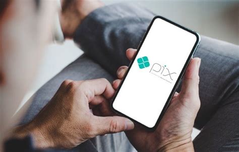 Autorizado O Acesso Aos Dados Pessoais Para Quem Utiliza O Pix Portal
