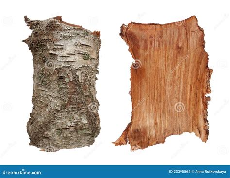 Bark Of Tree Texture Royalty Free Stock Image 40378900