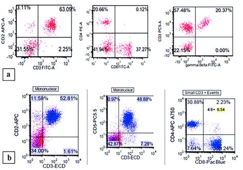 A Patient Flow Cytometry Demonstrating Increased Cd Cd T