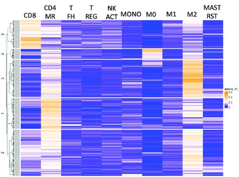 Heatmap Displaying The Relative Abundance Of The Ten Most Prevalent Download Scientific Diagram