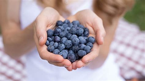 What Happens To Your Body When You Eat Blueberries Everyday