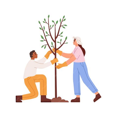 Premium Vector Man And Woman Planting A Tree