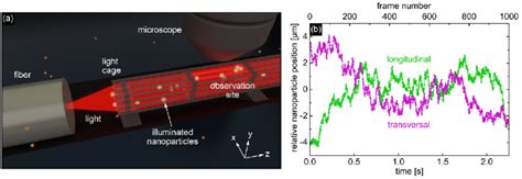 Nanoparticle tracking analysis using the locally structured on-chip ... 