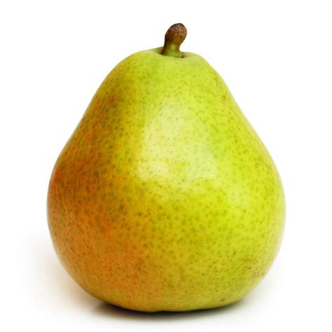 single pear fruitfull offices
