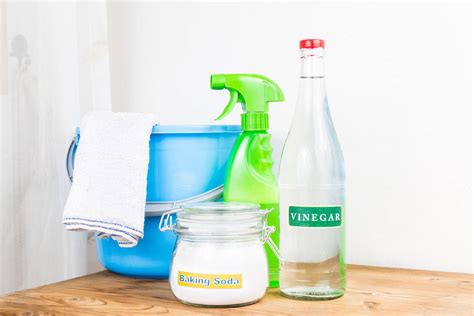 38 Eco-Friendly Products for a Sustainable Home and Lifestyle – Healthy ...
