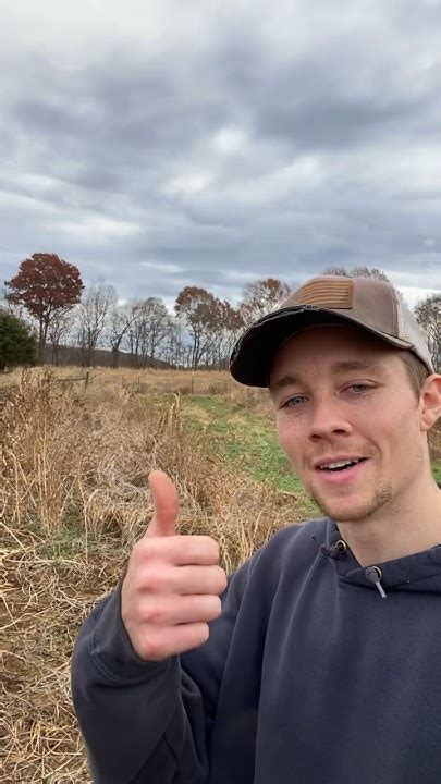 Organic Soybean Harvest Youtube