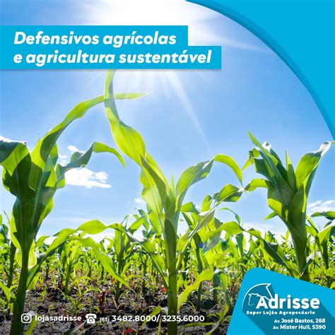 Adrisse Defensivos Agr Colas E Agricultura Sustent Vel