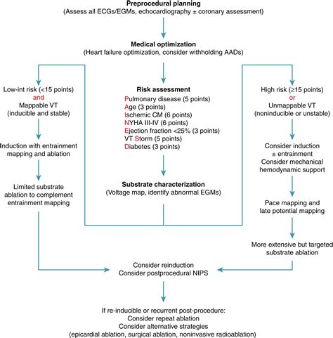 Ablation of Postmyocardial Infarction Ventricular Tachycardia ...
