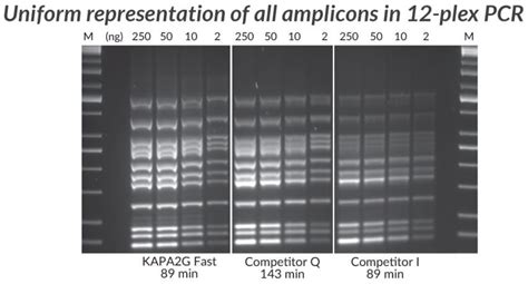 Kapa Biosystems Taq Dna Polymerase And Pcr Kits