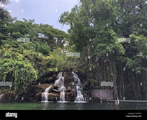 Waterfall in forest (jungle Stock Photo - Alamy