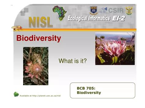 Ppt Biodiversity Powerpoint Presentation Free Download Id9269249