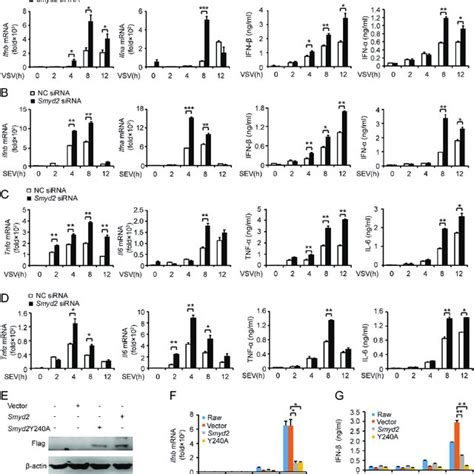 Increased Expression Of Type I Interferon And Proinflammatory Cytokines Download Scientific