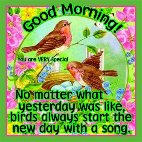 Good Morning No Matter What Yesterday Was Like Birds Always Start The