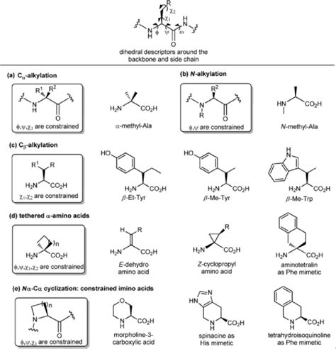 Panel Of Different Synthetic Approaches For Constraining The Backbone