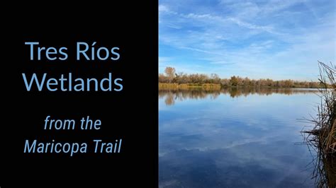 Exploring Tres Rios Wetlands In Phoenix Arizona Youtube