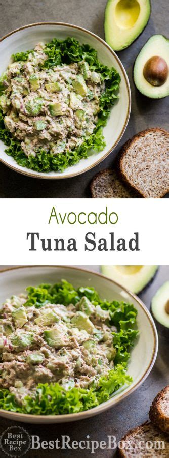 Avocado Tuna Salad Recipe Best Healty And Keto Best Recipe Box