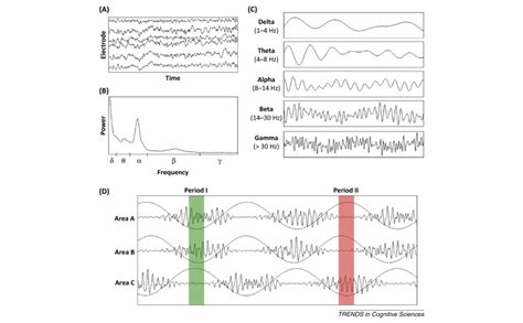 The Roles Of Cortical Oscillations In Sustained Attention Trends In